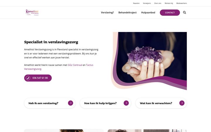 Captura de pantalla de amethistverslavingszorg.nl