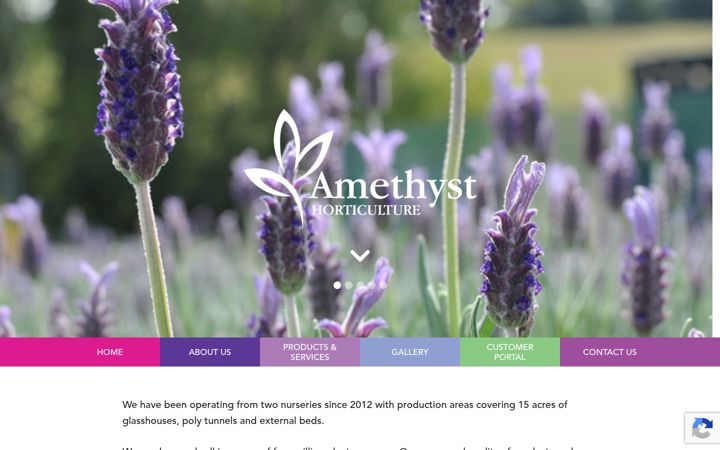 Screenshot of amethyst-horticulture.co.uk