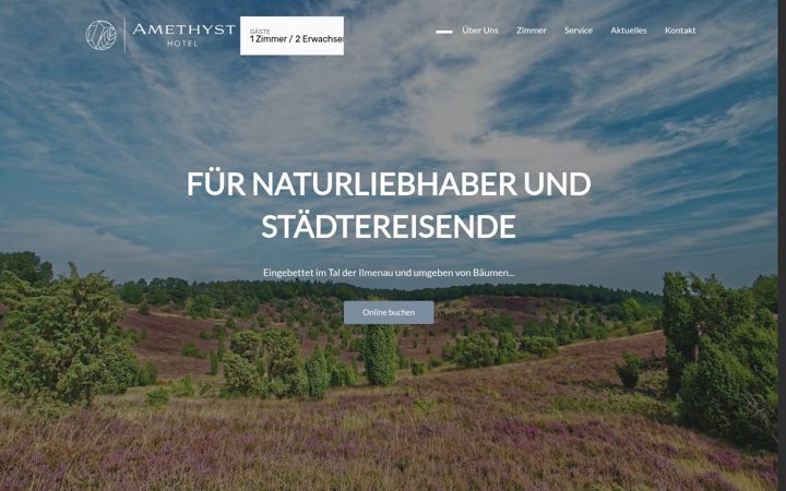 Captura de pantalla de amethyst-lueneburg.com