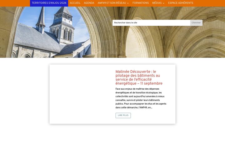 Screenshot of amf49.fr