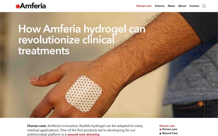 Screenshot of amferia.us