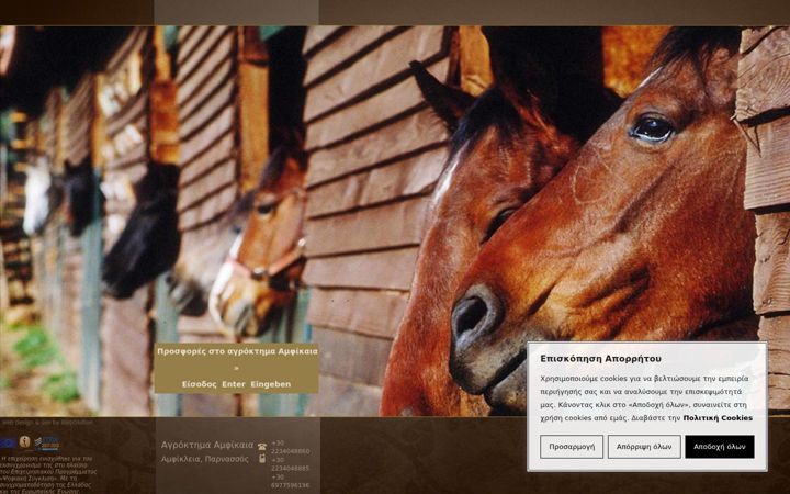 Screenshot of amfikaia.gr