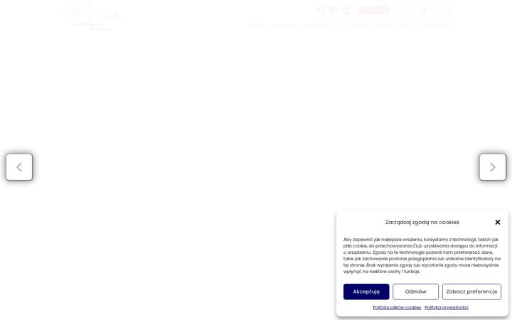 Screenshot stránky amfiteatrbemowo.pl