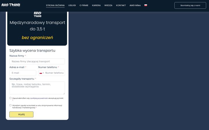 Screenshot of amg-trans.eu