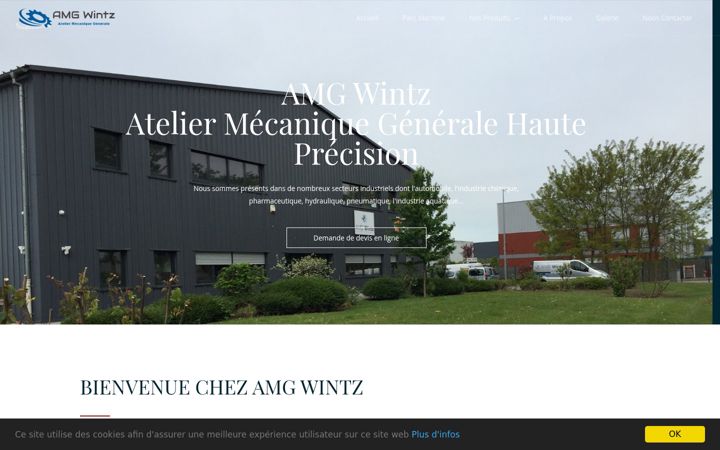 Screenshot of amg-wintz.com
