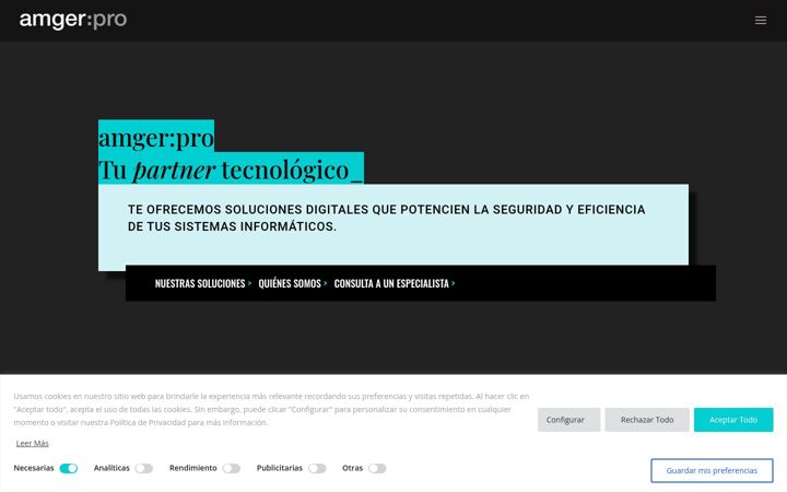 Screenshot of amgerpro.com