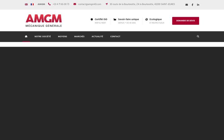Ekraanipilt saidist amgm43.com