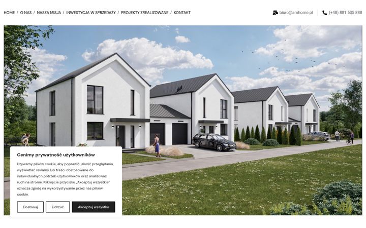 Screenshot of amhome.pl