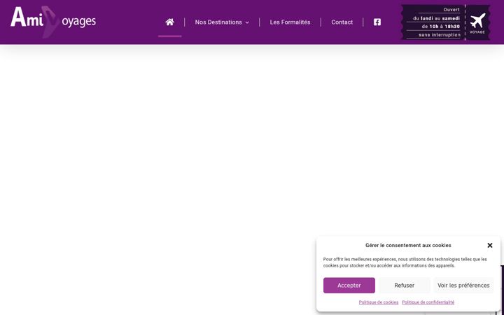 Snímek obrazovky ami-voyages.com