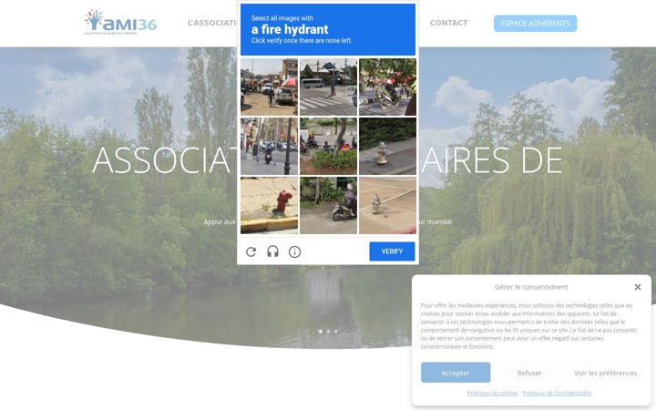 Ekraanipilt saidist ami36.fr