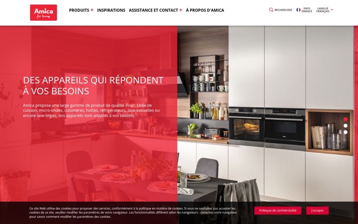 Skjámynd af amica-group.fr
