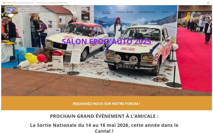 Snimka zaslona za amicale-204-304.com