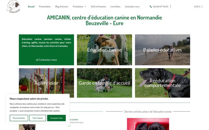 Kuvakaappaus sivustosta amicanin.fr
