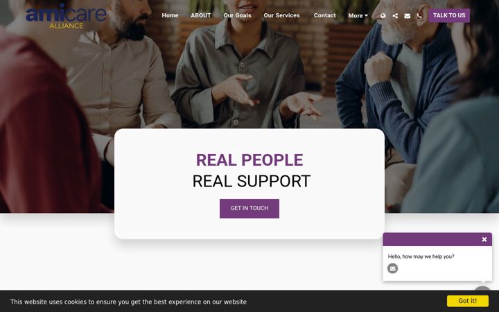 Screenshot of amicarealliance.com