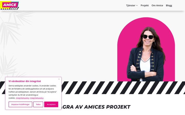 Kuvakaappaus sivustosta amice.se