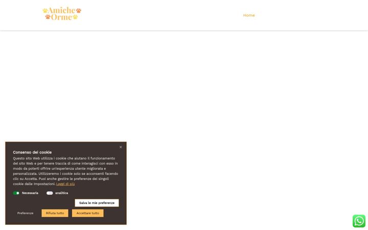 Screenshot di amicheorme.com