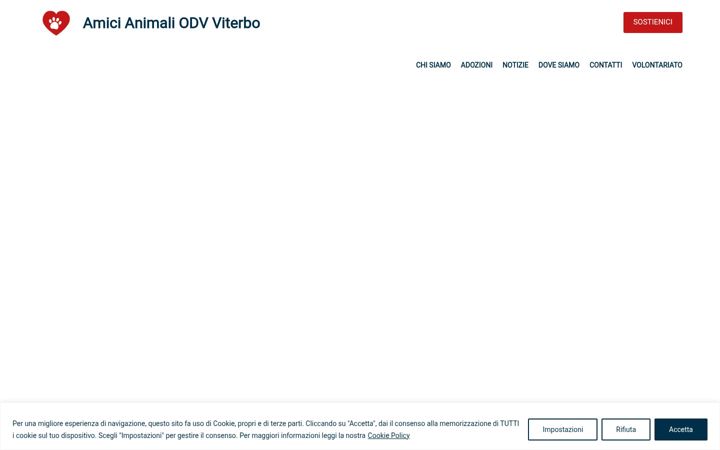 Screenshot of amicianimaliviterbo.it