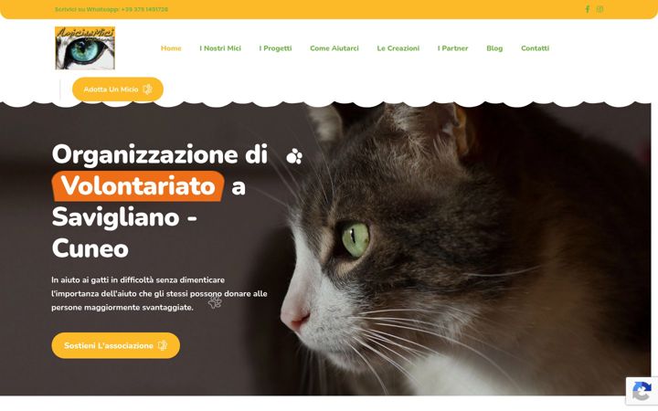 Screenshot stránky amicideimici.org