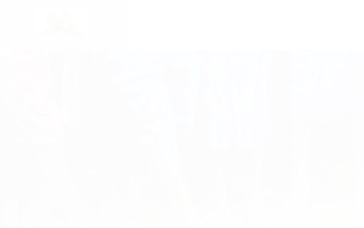 Screenshot stránky amicidellamissione.com