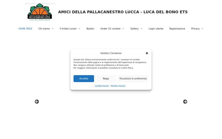 Screenshot of amicidellapallacanestrolucca.it