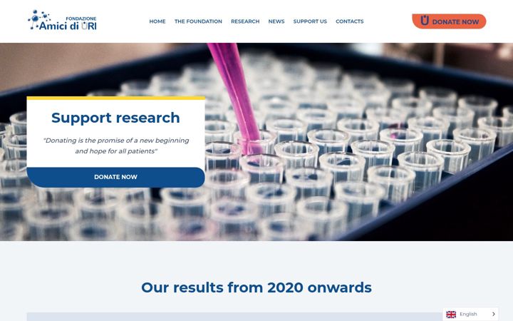 Screenshot of amicidiuri.org