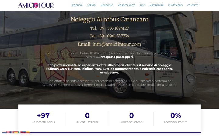 Screenshot of amiciintour.com