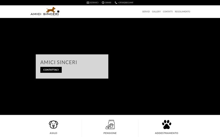 Screenshot of amicisinceri.it