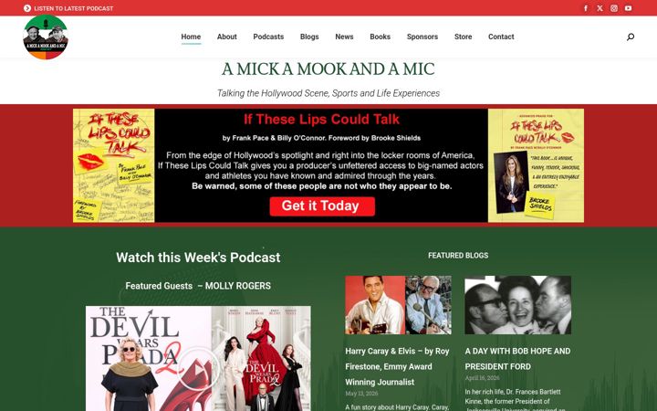 Screenshot of amickamookandamic.com
