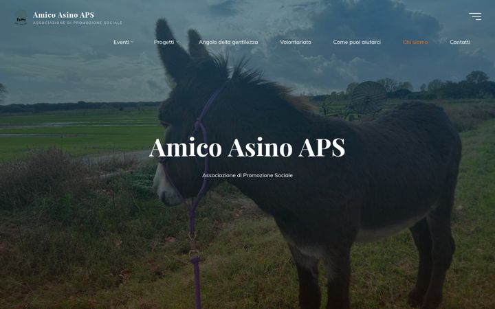 Screenshot of amicoasino.it