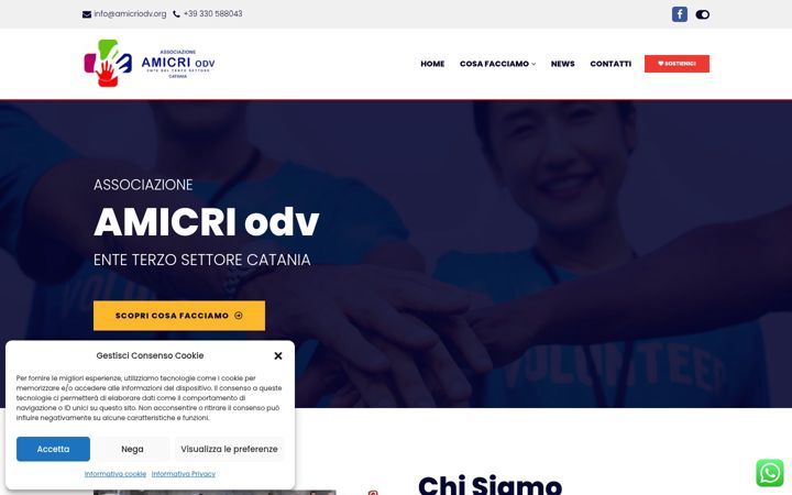 Zrzut ekranu amicriodv.org