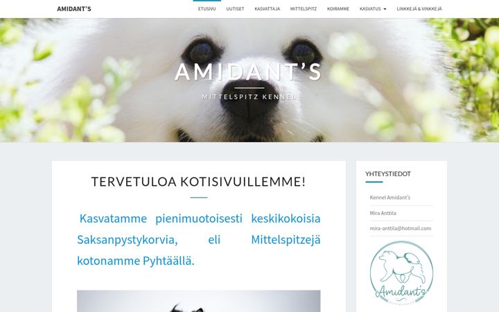 Screenshot of amidants.fi