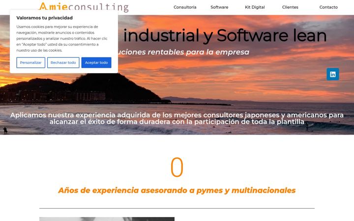 Zrzut ekranu amieconsulting.es