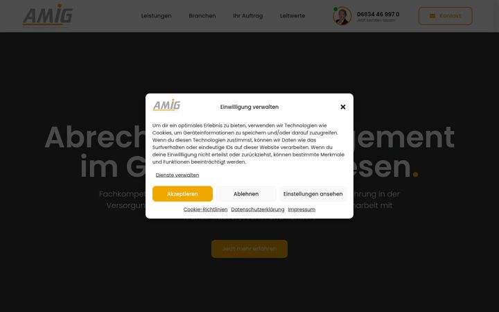 Screenshot of amig-gmbh.de