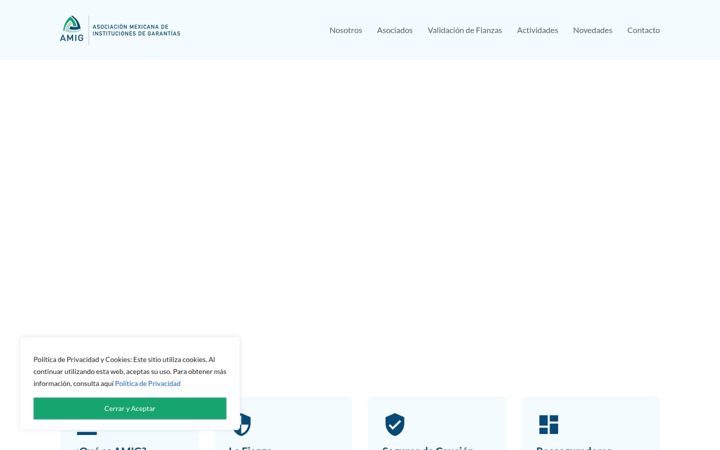 Screenshot of amig.org.mx