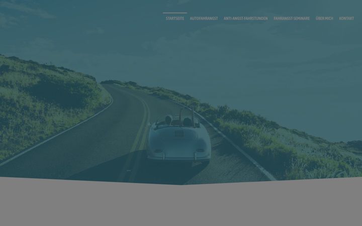 Screenshot of amiga-fahrtraining.de