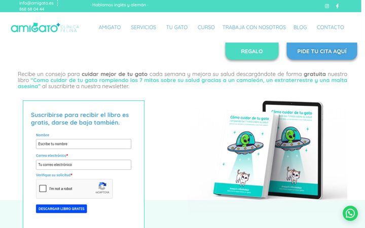 Screenshot di amigato.es
