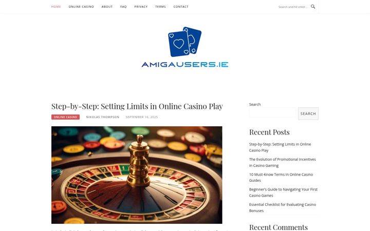 Screenshot of amigausers.ie