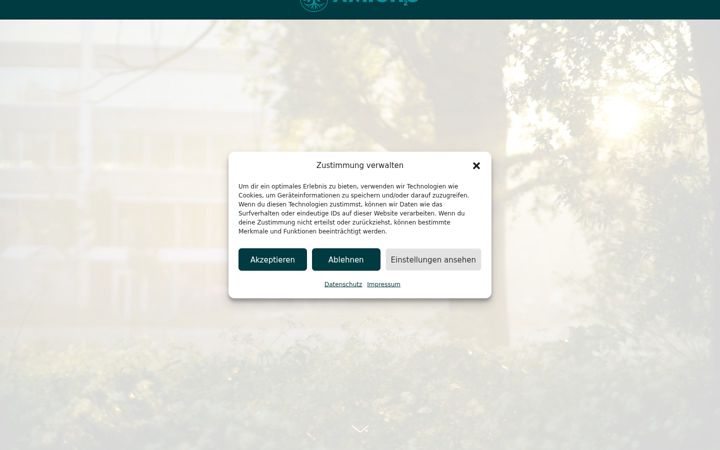Screenshot of amigho.de