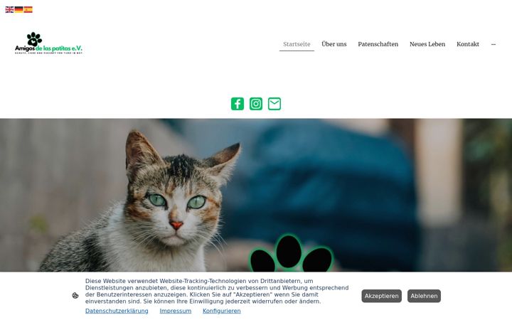 Screenshot of amigosdelaspatitas.com