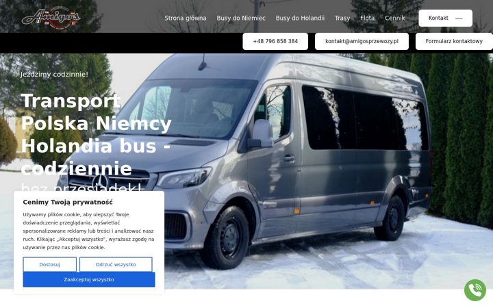 Screenshot of amigosprzewozy.pl
