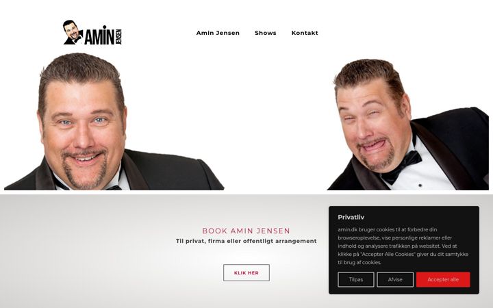 Screenshot stránky amin.dk