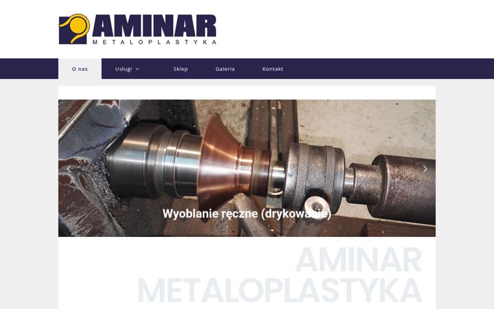 Screenshot of aminar.com.pl