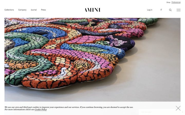 Screenshot of amini.it
