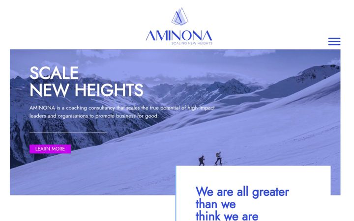 Screenshot of aminonaconsulting.com
