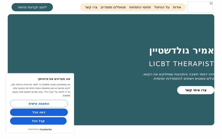 Screenshot of amirgoldstein.com