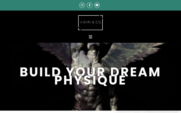 Screenshot of amiri-co.com