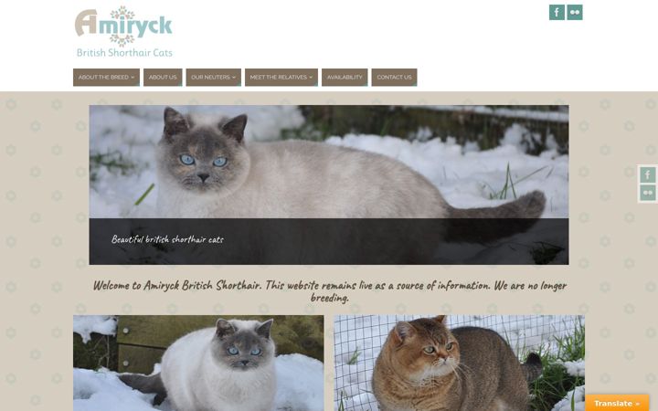 Kuvakaappaus sivustosta amiryck.me.uk