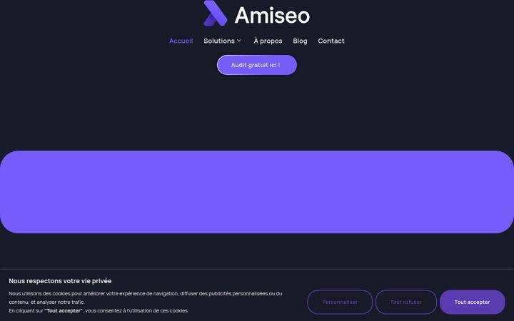 Screenshot of amiseo.fr