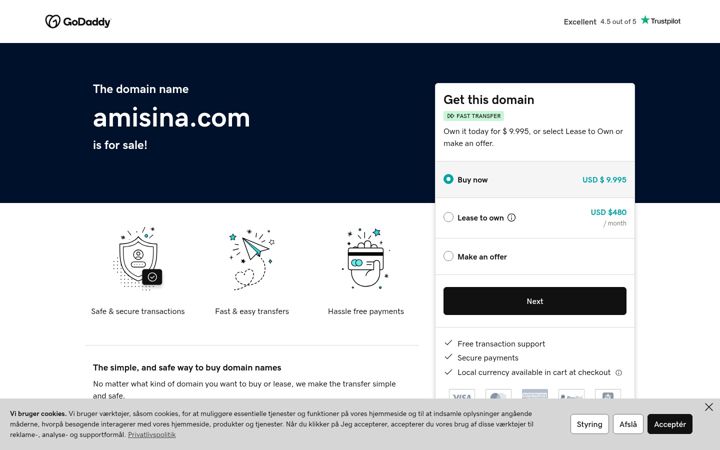 Screenshot of amisina.com
