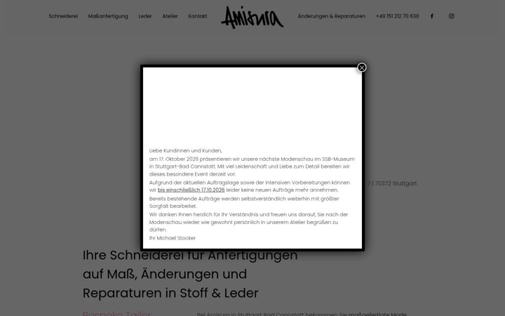Screenshot of amisura.de